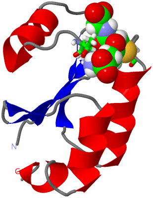 Image NMR Structure - model 1, sites