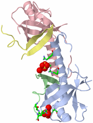 Image Biol. Unit 1 - sites