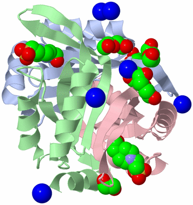 Image Biological Unit 1