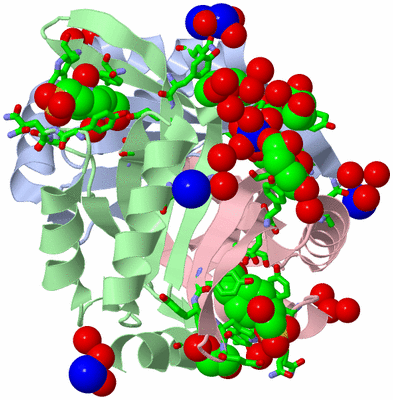 Image Biol. Unit 1 - sites