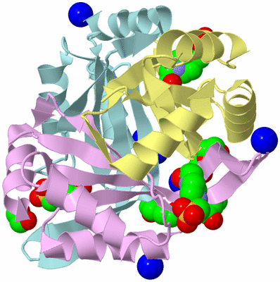 Image Biological Unit 2