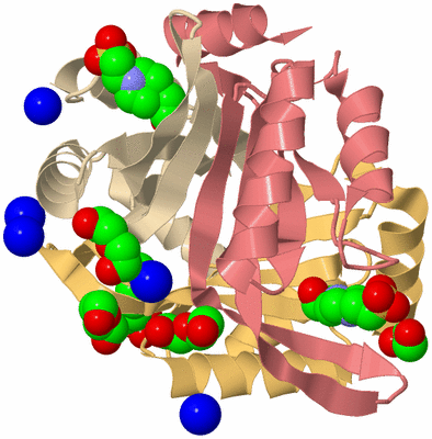 Image Biological Unit 3