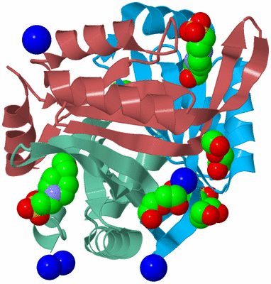 Image Biological Unit 4