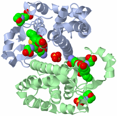 Image Asym./Biol. Unit