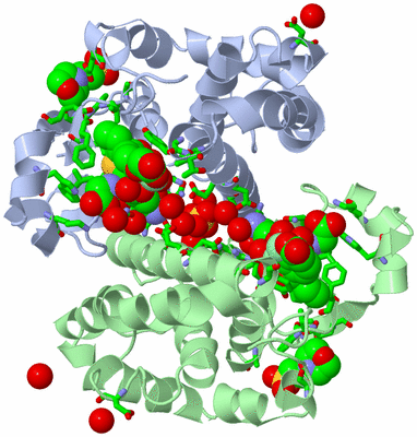 Image Asym./Biol. Unit - sites