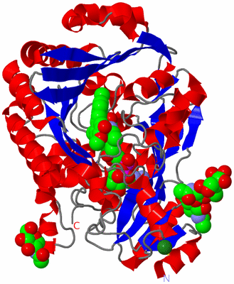 Image Asym./Biol. Unit