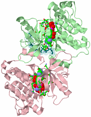 Image Biol. Unit 1 - sites