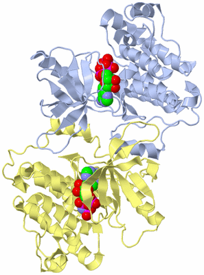 Image Biological Unit 2