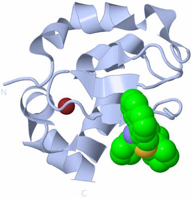 Image Biological Unit 1