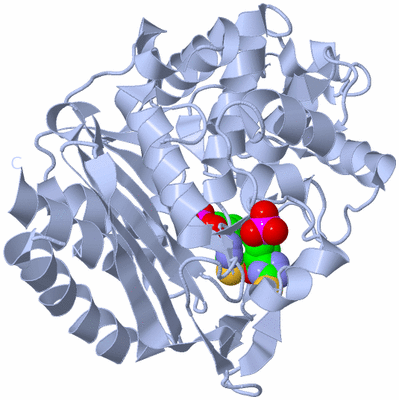 Image Biological Unit 1