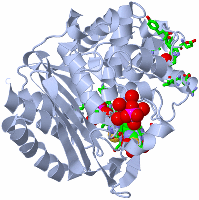 Image Biol. Unit 1 - sites