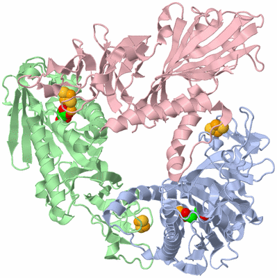 Image Asym./Biol. Unit