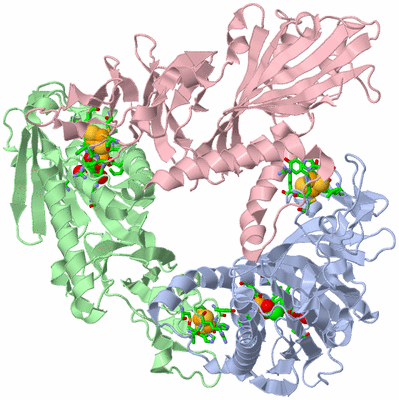 Image Asym./Biol. Unit - sites