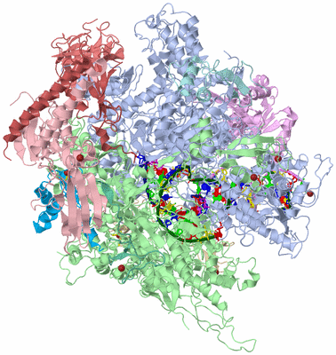 Image Asym./Biol. Unit