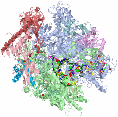 Image Asym./Biol. Unit