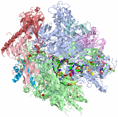 Image Asym./Biol. Unit - sites