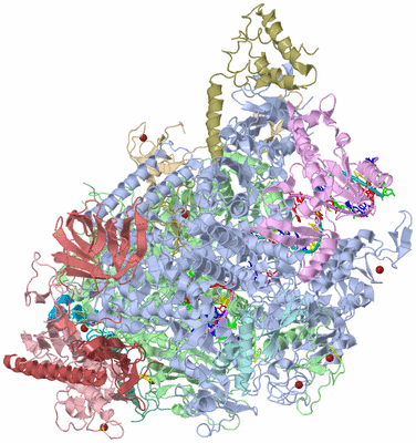 Image Asym./Biol. Unit