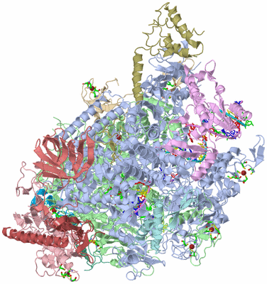 Image Asym./Biol. Unit - sites