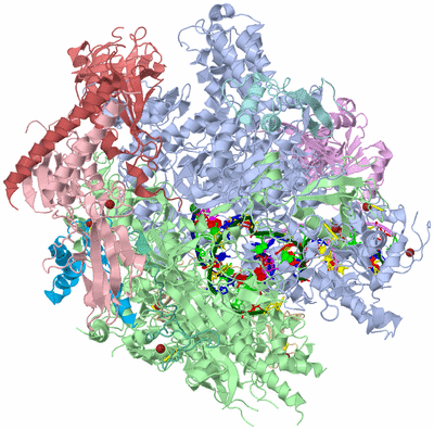 Image Asym./Biol. Unit