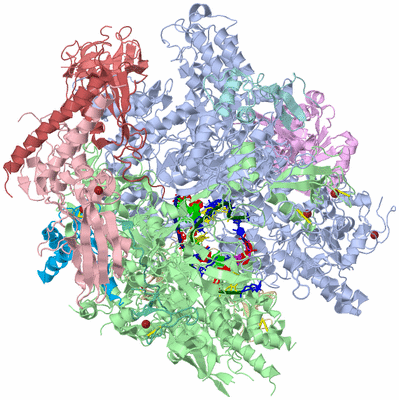 Image Asym./Biol. Unit