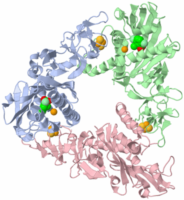 Image Asym./Biol. Unit