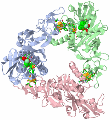 Image Asym./Biol. Unit - sites