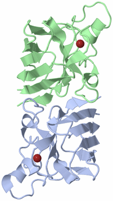 Image Biological Unit 1