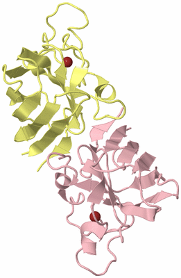 Image Biological Unit 2