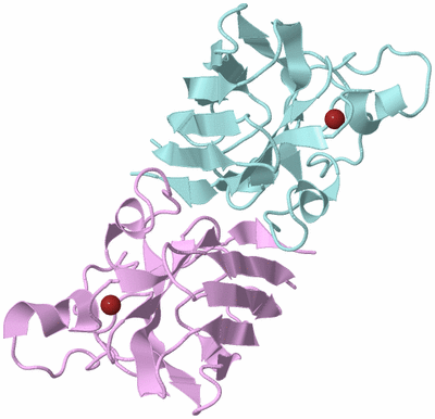 Image Biological Unit 3