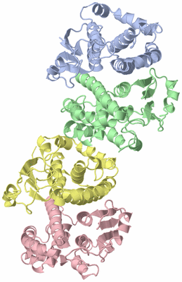 Image Biological Unit 3