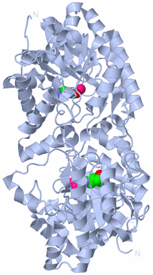 Image Biological Unit 1