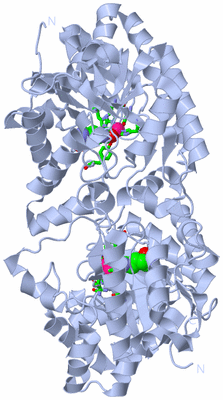 Image Biol. Unit 1 - sites