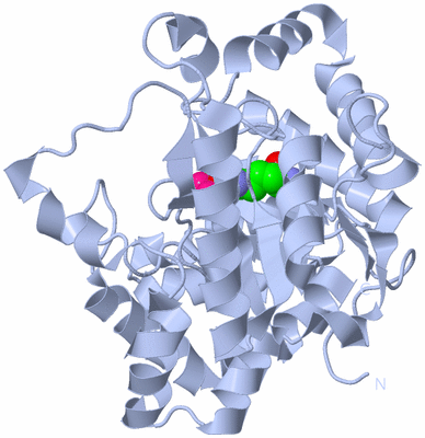 Image Biological Unit 2