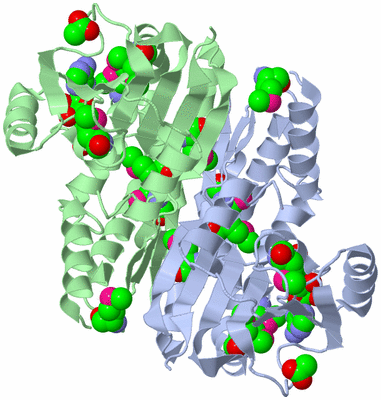 Image Asym./Biol. Unit