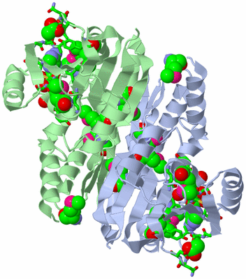 Image Asym./Biol. Unit - sites