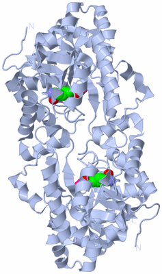 Image Biological Unit 2