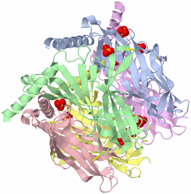 Image Biological Unit 1