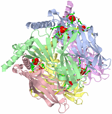 Image Biol. Unit 1 - sites