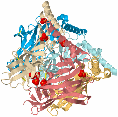 Image Biological Unit 2