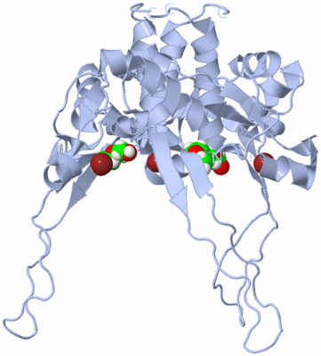 Image Biological Unit 1