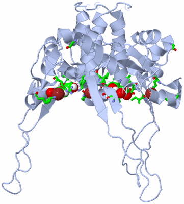 Image Biol. Unit 1 - sites