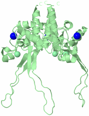 Image Biological Unit 2