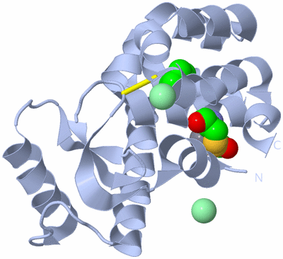 Image Biological Unit 1