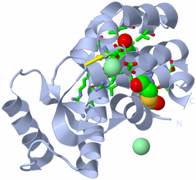 Image Biol. Unit 1 - sites