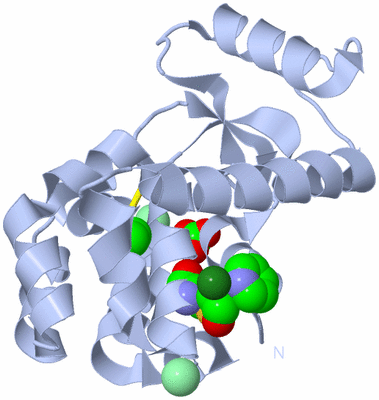 Image Biological Unit 1