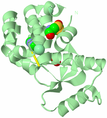 Image Biological Unit 2