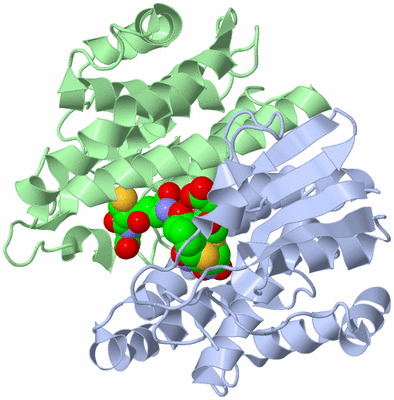 Image Biological Unit 1