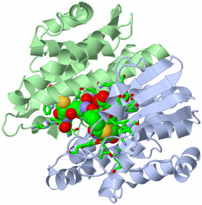 Image Biol. Unit 1 - sites