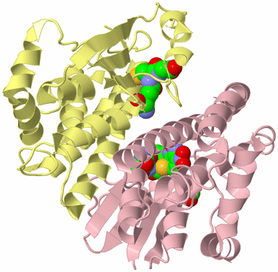 Image Biological Unit 2