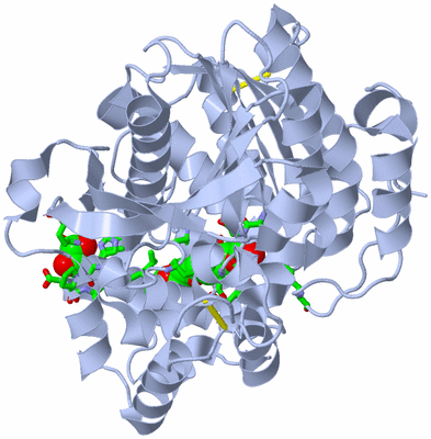 Image Biol. Unit 1 - sites